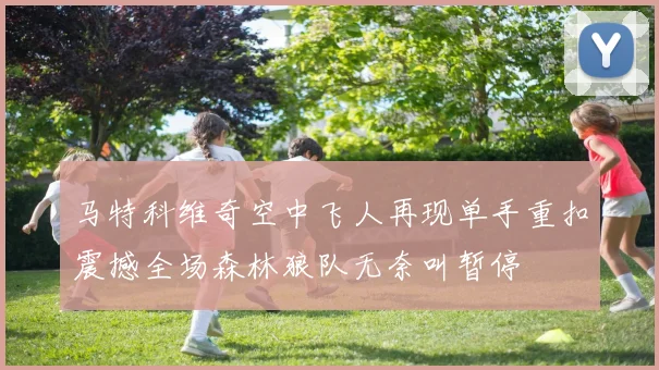 马特科维奇空中飞人再现单手重扣震撼全场森林狼队无奈叫暂停