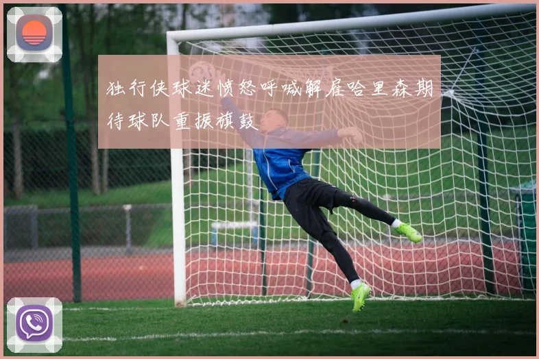 独行侠球迷愤怒呼喊解雇哈里森期待球队重振旗鼓